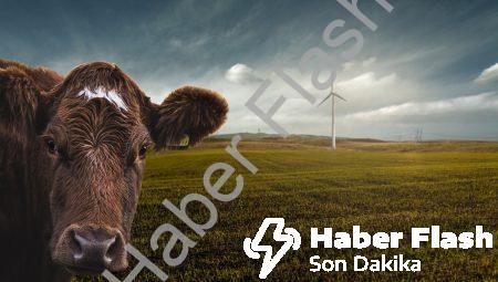 Düşük Maliyetli Güneş Panelleriyle Enerji Sorunlarını Çözmek