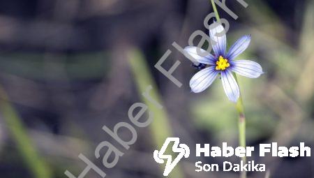 Termal Enerji Dönüşümü: Isının Enerjiye Dönüştürülmesi ve Enerji Üretimi