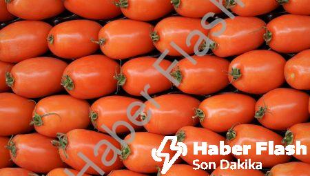 Bilinçli Matriks Kontrolü: Hayatta Her Şeyin Kontrolünde Olun