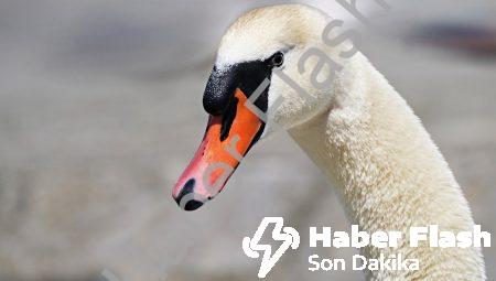 Antimadde Enerjisi: Sonsuz Enerjinin Anahtarı