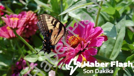 Yatak Yıkama İle Daha Temiz ve Sağlıklı Bir Uyku Alanı