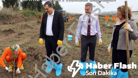 Dalaman Açık Cezaevi’nde Tarımsal Üretim: Sakız Ağacı Projesi Başladı