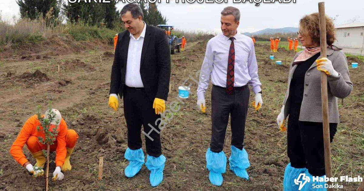 "Dalaman Açık Cezaevi'nde Tarımsal Üretim: Sakız Ağacı Projesi Başladı" başlıklı haber için fotoreal