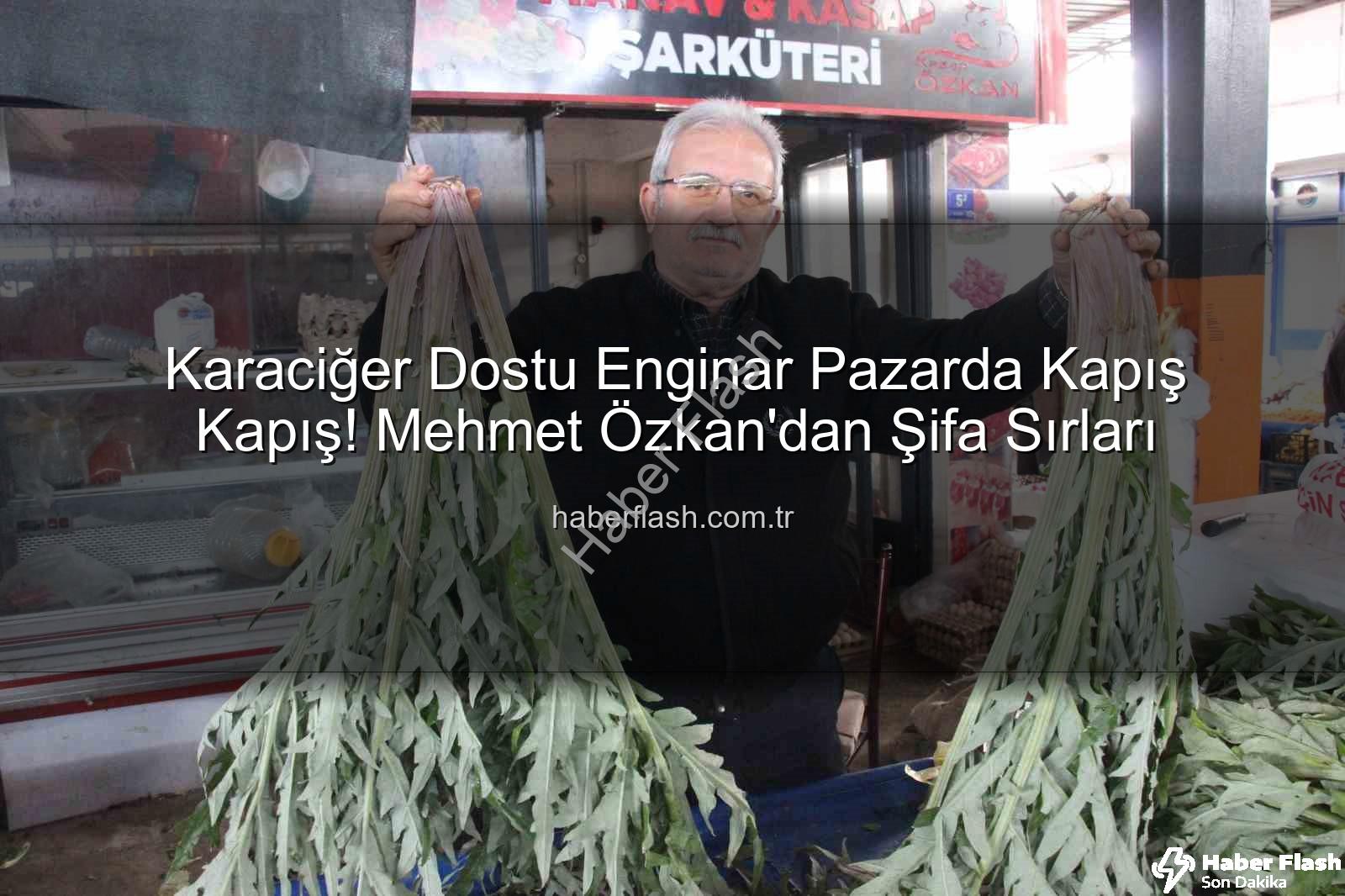 karaciğer dostu enginar - Karaciğer Dostu Enginar Pazarda Kapış Kapış! Mehmet Özkan'dan Şifa Sırları
