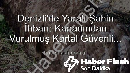 Denizli’de Yaralı Şahin İhbarı: Kanadından Vurulmuş Kartal Güvenli Ellerde