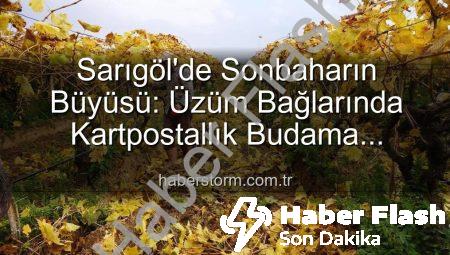 Sarıgöl’de Sonbaharın Büyüsü: Üzüm Bağlarında Kartpostallık Manzaralar Eşliğinde Budama Çalışmaları