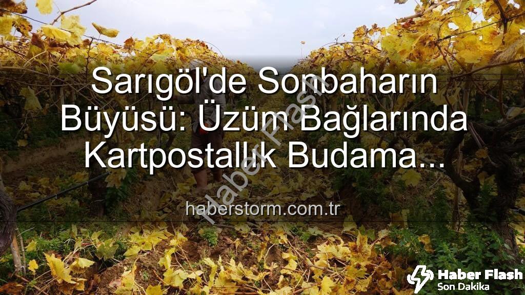 Sarıgöl üzüm bağları - Sarıgöl'de Sonbaharın Büyüsü: Üzüm Bağlarında Kartpostallık Manzaralar Eşliğinde Budama Çalışmaları