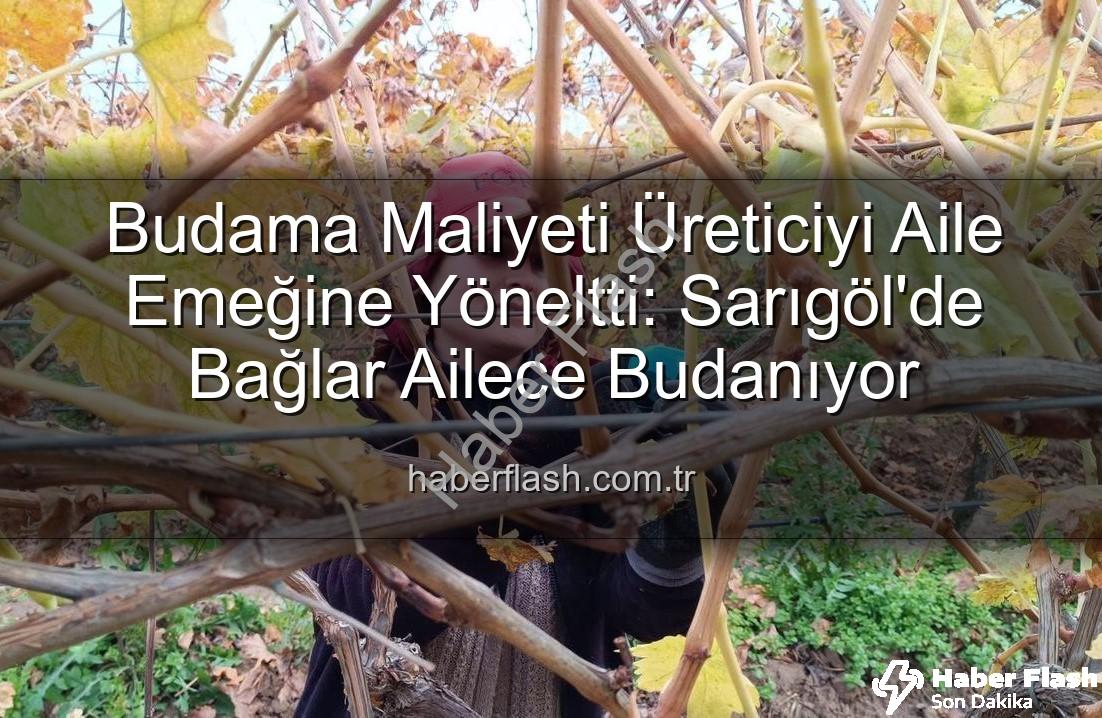 budama maliyeti - Budama Maliyeti Üreticiyi Aile Emeğine Yöneltti: Sarıgöl'de Bağlar Ailece Budanıyor