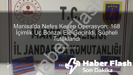 Manisa’da Nefes Kesen Operasyon: 168 İçimlik Uç Bonzai Ele Geçirildi, Şüpheli Tutuklandı