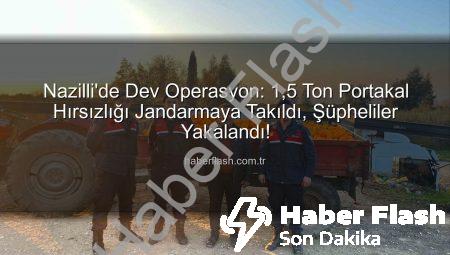 Nazilli’de Dev Operasyon: 1,5 Ton Portakal Hırsızlığı Jandarmaya Takıldı, Şüpheliler Yakalandı!