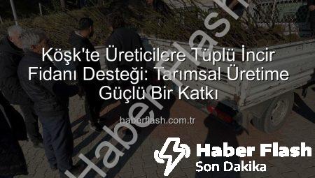 Köşk’te Üreticilere Tüplü İncir Fidanı Desteği: Tarımsal Üretime Güçlü Bir Katkı
