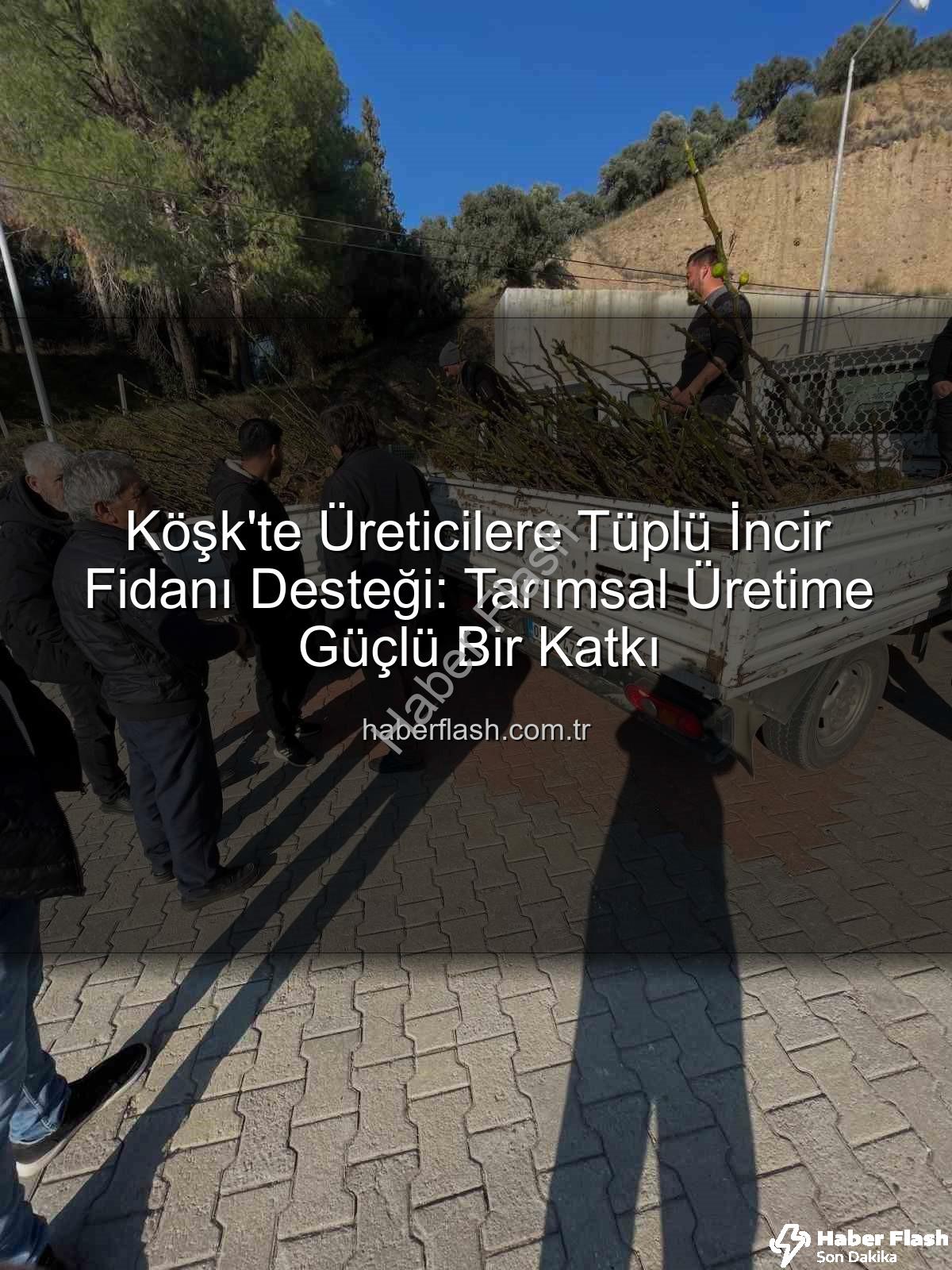 tüplü incir fidanı - Köşk'te Üreticilere Tüplü İncir Fidanı Desteği: Tarımsal Üretime Güçlü Bir Katkı