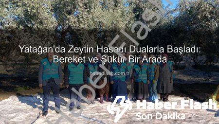 Yatağan’da Zeytin Hasadı Dualarla Başladı: Bereket ve Şükür Bir Arada