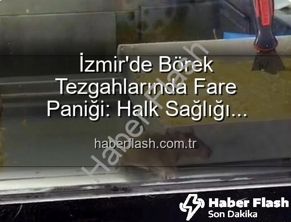 börekçi fare - İzmir'de Börek Tezgahlarında Fare Paniği: Halk Sağlığı Tehlikeye Girdi, İşletme Mühürlendi!