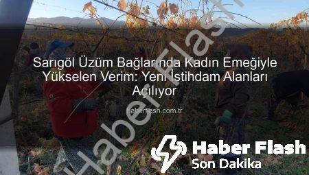 Sarıgöl Üzüm Bağlarında Kadın Emeğiyle Yükselen Verim: Yeni İstihdam Alanları Açılıyor