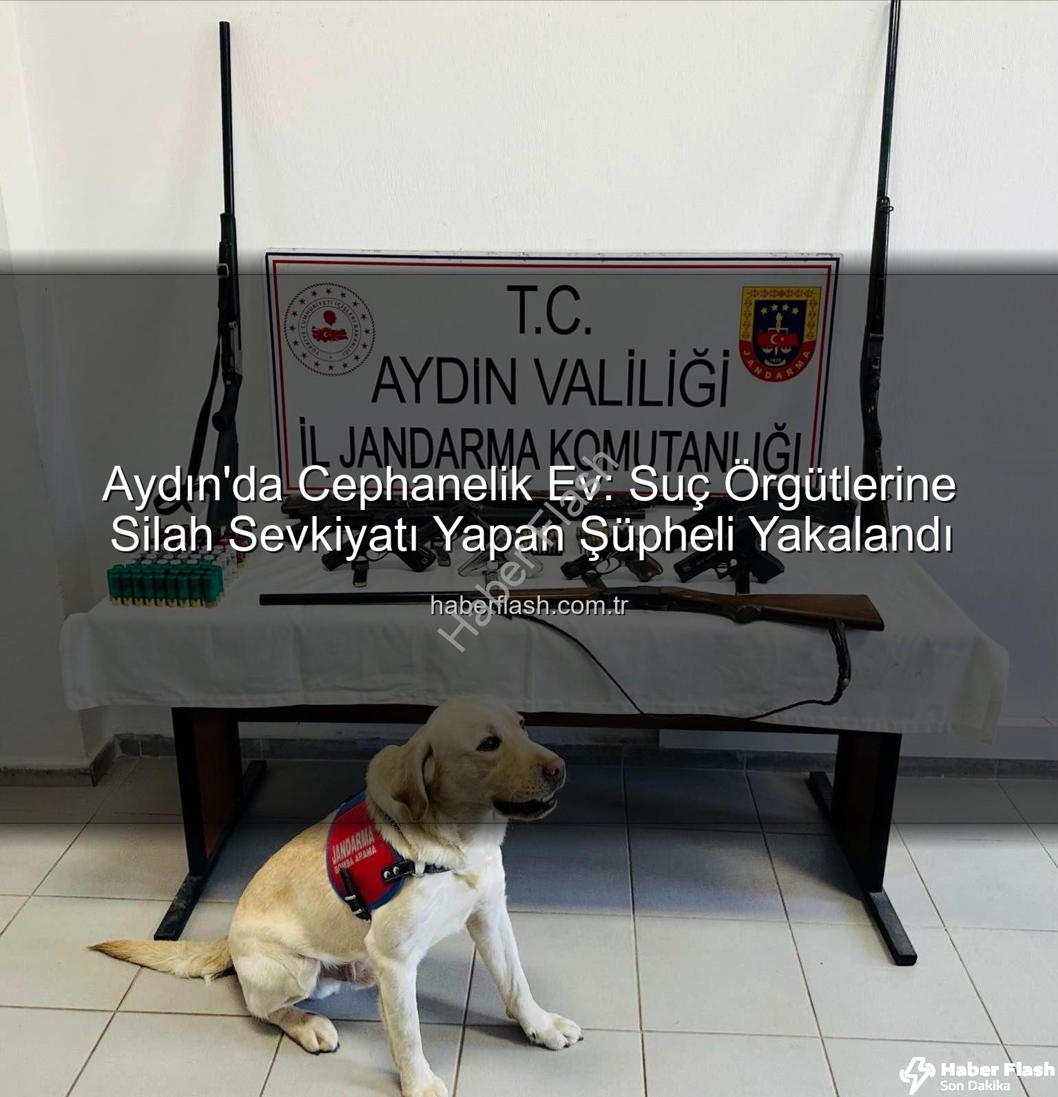 ruhsatsız silah - Aydın'da Cephanelik Ev: Suç Örgütlerine Silah Sevkiyatı Yapan Şüpheli Yakalandı