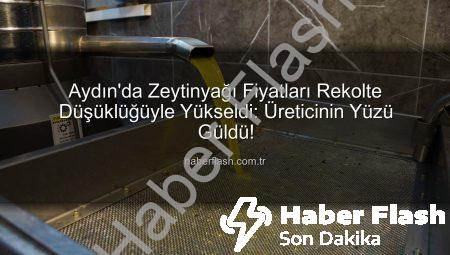 Aydın’da Zeytinyağı Fiyatları Rekolte Düşüklüğüyle Yükseldi: Üreticinin Yüzü Güldü!