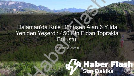 Dalaman’da Küle Dönüşen Alan 6 Yılda Yeniden Yeşerdi: 450 Bin Fidan Toprakla Buluştu!