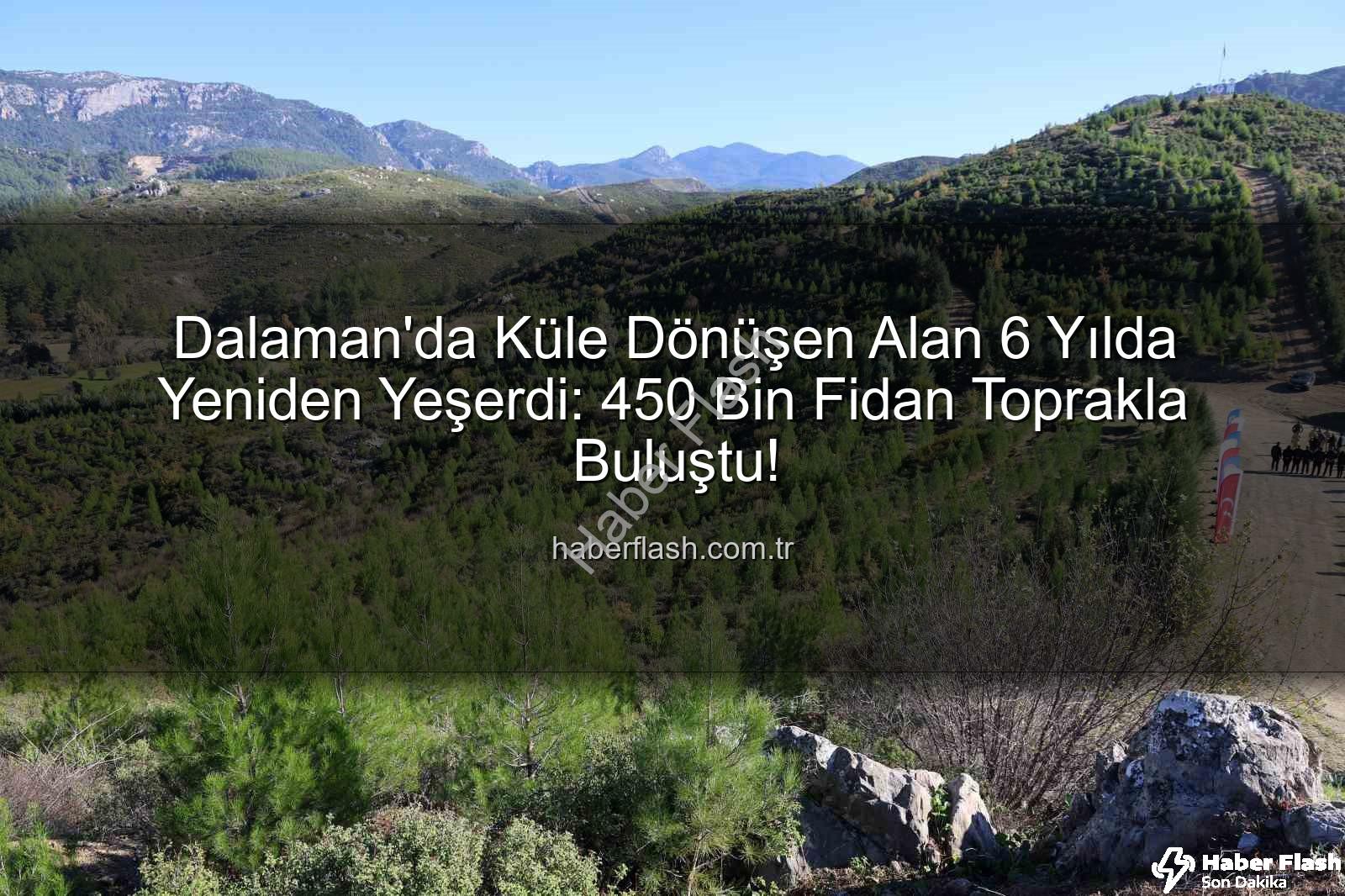 dalaman yanan alan - Dalaman'da Küle Dönüşen Alan 6 Yılda Yeniden Yeşerdi: 450 Bin Fidan Toprakla Buluştu!