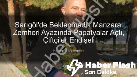 Sarıgöl’de Beklenmedik Manzara: Zemheri Ayazında Papatyalar Açtı, Çiftçiler Endişeli