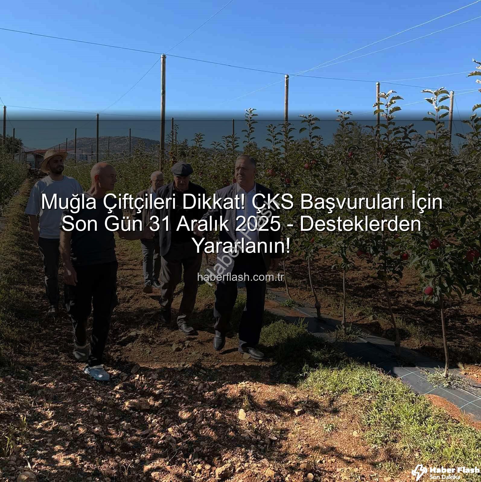 ÇKS başvuruları - Muğla Çiftçileri Dikkat! ÇKS Başvuruları İçin Son Gün 31 Aralık 2025 - Desteklerden Yararlanın!